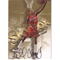 1998/9 Skybox Keith Closs AUClick to Enlarge