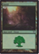 MTG FOREST (PAICK) (FOIL)Click to Enlarge