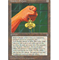 MTG AMULET OF QUOZClick to Enlarge