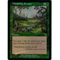 MTG WANDERING STREAM (FOIL)Click to Enlarge