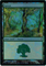 MTG FOREST (RAYYAN) (FOIL)Click to Enlarge