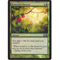 MTG BOUNTIFUL HARVEST (FOIL)Click to Enlarge