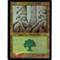 MTG FOREST (SPRINGER) (FOIL)Click to Enlarge