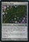 MTG DIVINER'S WANDClick to Enlarge