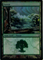 MTG FOREST (FOIL)Click to Enlarge