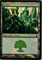 MTG FOREST (WRIGHT) (FOIL)Click to Enlarge