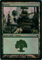 MTG FOREST (MOELLER) (FOIL)Click to Enlarge