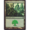 MTG FOREST (WRIGHT) (FOIL)Click to Enlarge