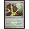 MTG ARREST (FOIL)Click to Enlarge