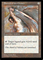 MTG SWORD OF THE CHOSENClick to Enlarge
