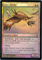 MTG APEX HAWKS (FOIL)Click to Enlarge