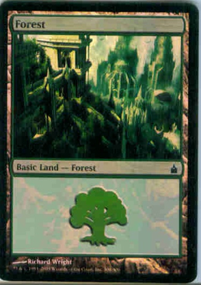 MTG FOREST (WRIGHT) (FOIL)