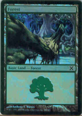 MTG FOREST (WATERS) (FOIL)
