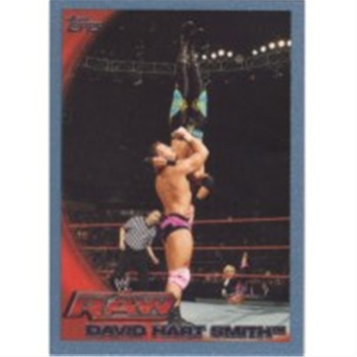 2010 WWE David Hart Smith BP