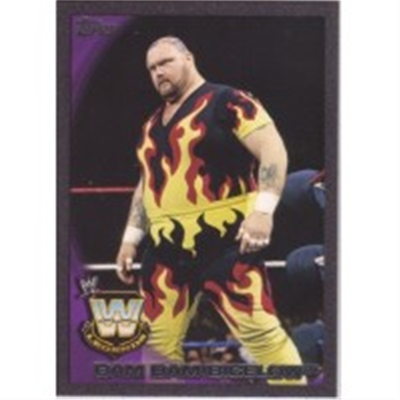 2010 WWE Bam Bam Bigelow BP