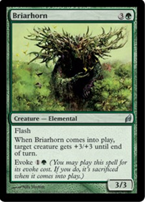 MTG BRIARHORN