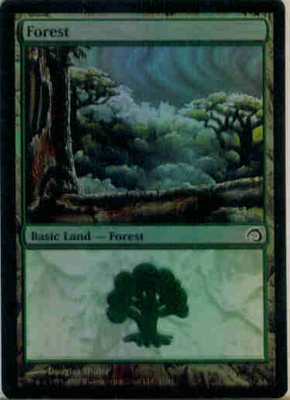 MTG FOREST (FOIL)