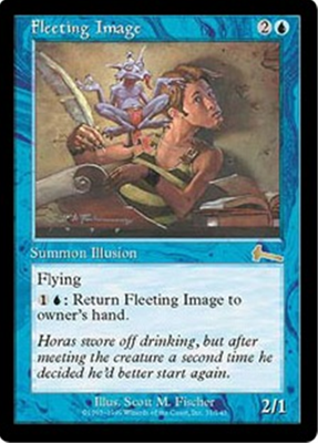 MTG FLEETING IMAGE